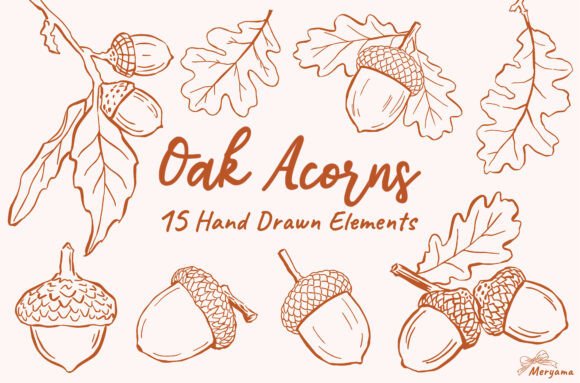 Download Hand Drawn Fall Oak Acorns Autumn SVG - Autumn Collection