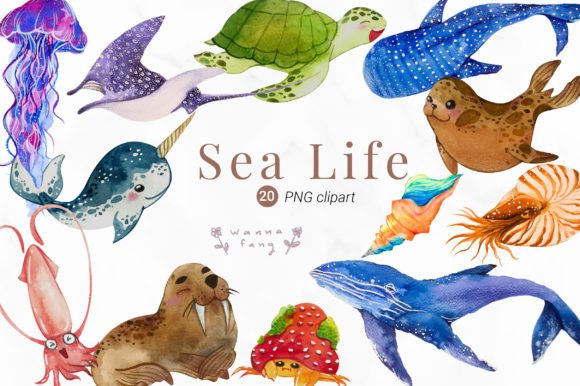 Download Watercolor Sea Life Clipart, PNG - Watercolor sea Collection