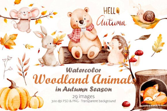 Download Watercolor Woodland Animals in Autumn - Autumn Collection