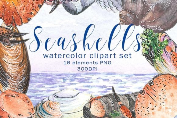 Download Watercolor Seashells Digital Clipart Set - Watercolor sea Collection